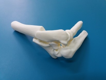 Laboratory of medical 3D printing of the Institute of Traumatology and Orthopedics by the National Academy of Medical Sciences of Ukraine +38(066)160-24-74, +38(098)981-49-29. Term of 3D model production: 2-4 days.